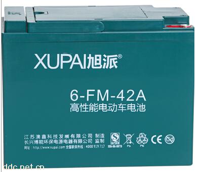 旭派6-FM-42电池