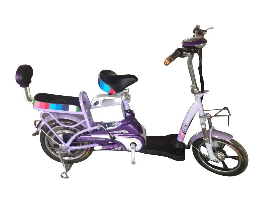电动车1