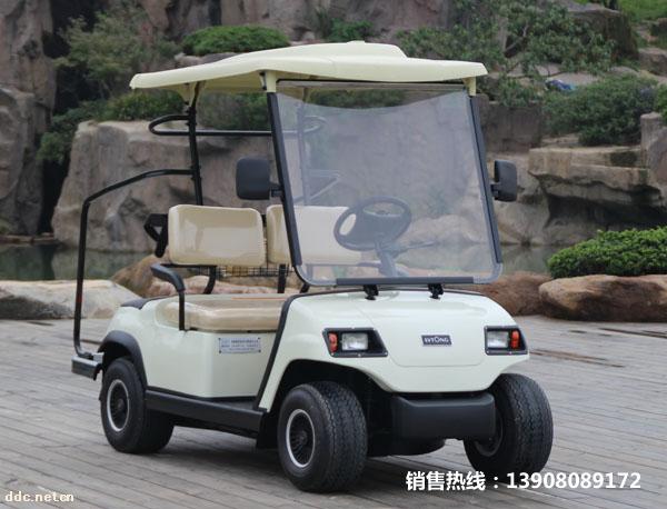 两人座高尔夫球车