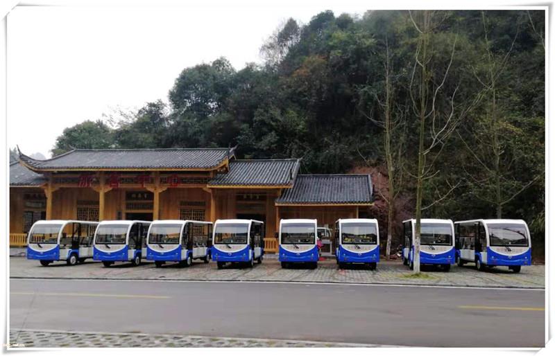 广西旅游观光车价格 电瓶旅游车图片 游览车