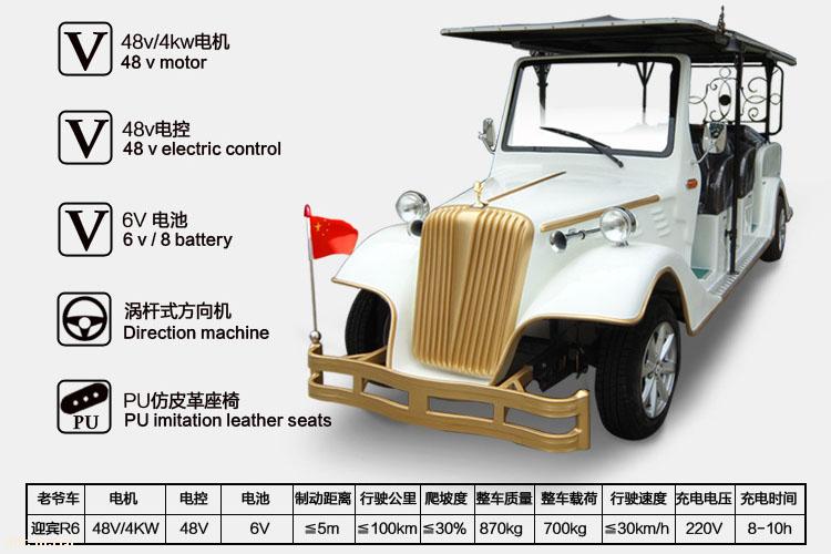 湖北电动游览车