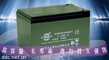 重庆天能电池